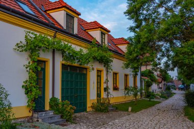 Çek Cumhuriyeti 'nin Mikulov kentindeki renkli bir caddenin gün batımı manzarası.