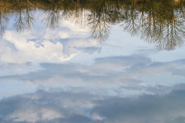 Reflexionen Von Wäldern Wasser — Stockfoto