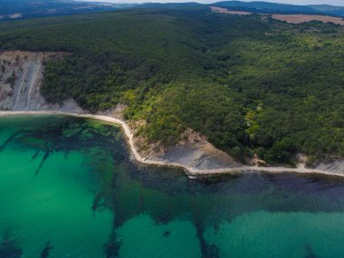 Kumsalları ve ormanları olan güzel bir deniz manzarası, İHA 'dan çekilmiş.