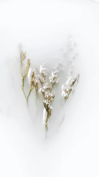 Une Fleur Séchée Avec Une Tige Dans Bol Abstraction Photo De Stock