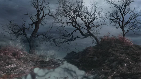 Nebelige Landschaft Mit Sumpf Und Bäumen — Stockfoto