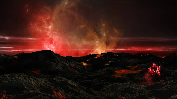 Cosmic Scenery Lava Fiery Flower — Stock Photo, Image