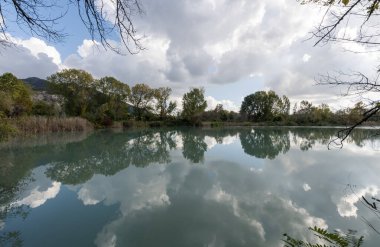 Fleisher 'ın söğüt otu ya da karanfili. Dağ bitkisi, temmuz ve ağustos arasında çiçekler