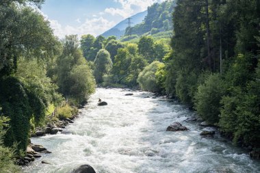 Noce Nehri, Val di Sole, Trentino - İtalya.