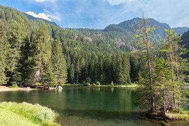  Lago dei Caprioli, Val di Sole, İtalya.