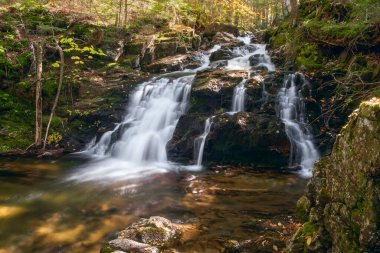 Gordon Snyder Brook 'a Beyaz Dağlara Düştü. Randolph. New Hampshire 'da. ABD