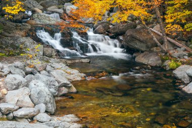 Ellis Nehri 'ndeki Crystal Cascades' in aşağısındaki küçük şelaleler. Tuckerman Ravine Patikası. Jackson mı? New Hampshire 'da. ABD