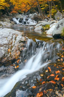 Ellis Nehri 'ndeki Crystal Cascades' in aşağısındaki küçük şelaleler. Tuckerman Ravine Patikası. Jackson mı? New Hampshire 'da. ABD