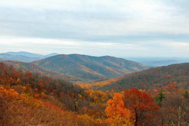 Colorful autumn view of Blue Ridge mountain ridges from Skyline Drive in Shenandoah National Park. Virginia. USA clipart