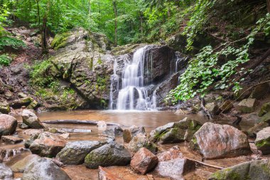 Patapsco Valley Eyalet Parkı 'nda Cascade Falls. Yaz. Ellicott şehri. Maryland. ABD