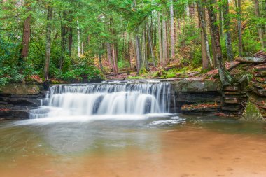 Tolliver Şelalesi yağmurlu bir sonbahar gününde. Tolliver Koş. Swallow Falls Eyalet Parkı. Oakland. Maryland