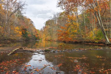 Sonbaharda Mohican Nehri 'nin Çatal Dalını temizleyin. Mohican Eyalet Parkı. Perrysville 'de. Ohio mu? ABD