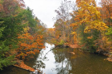 Mohican Köprüsü 'nün yukarısındaki Mohican Nehri' nin Temiz Çatal Şubesi 'nin renkli manzarası. Mohican Eyalet Parkı. Perrysville 'de. Ohio mu? ABD