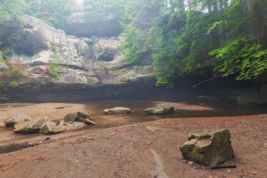 Sedir yağmurlu bir günde susuz düşer. Hocking Hills Eyalet Parkı. Hocking County 'de. Ohio mu? ABD