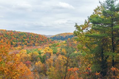 Pleasant Hill Lake Trail 'deki Vista Point' ten renkli bir manzara. Perrysville 'de. Ohio mu? ABD