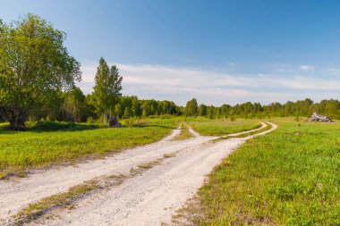 Toprak bir tarla yolu ormanla çevrili yeşil bir çayırı geçer. Büyük ahşap bir kütük yeşil çimlerin üzerinde.