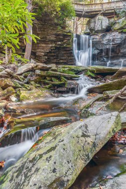 Shays Run 'dan Elakala Şelalesi, Blackwater Falls Eyalet Parkı' nda. Batı Virginia. ABD