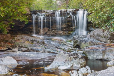 Tucker County 'deki Big Run Şelalesi boyunca. - Douglas. Batı Virginia. ABD
