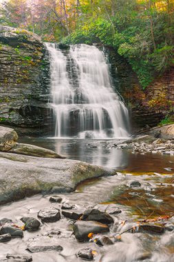 Sonbaharda Muddy Creek Şelalesi. Swallow Falls Eyalet Parkı. Oakland. Maryland. ABD