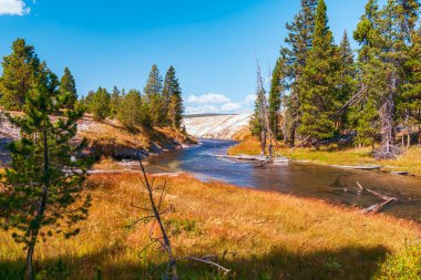 Firehole Nehri. Yukarı Gayzer Havzası. Yellowstone Ulusal Parkı. Wyoming 'de. ABD