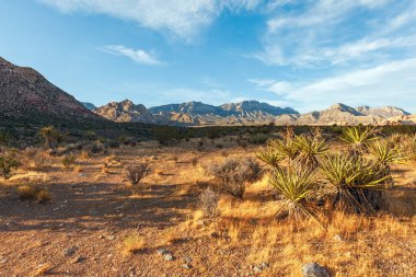 Gün batımında kayıp dere bölgesi. Red Rock Kanyonu Ulusal Koruma Alanı. Nevada mı? ABD