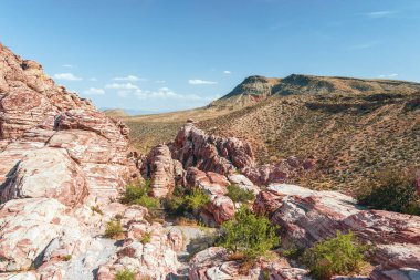 Calico Hills Yolu. Red Rock Kanyonu Ulusal Koruma Alanı. Nevada mı? ABD
