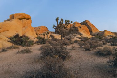 Gün batımında Jumbo Kayalıkları 'ndaki kamp alanında kaya oluşumları. Joshua Tree Ulusal Parkı. Kaliforniya mı? ABD