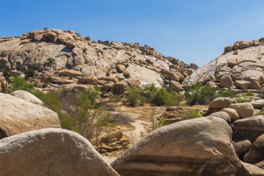Yaz aylarında Barker Barajı 'nın su deposunu kurutun. Joshua Tree Ulusal Parkı. Kaliforniya mı? ABD