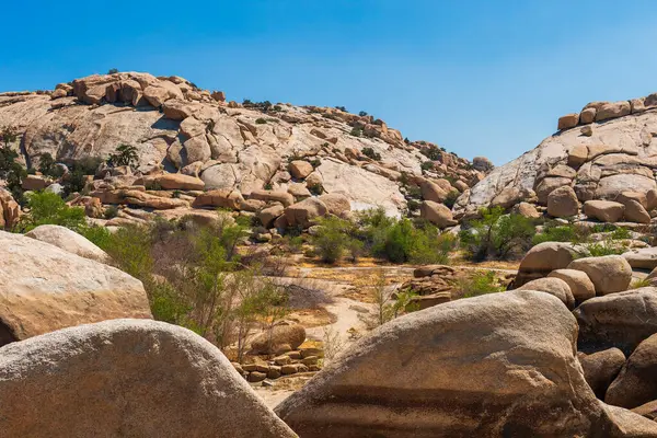 Yaz aylarında Barker Barajı 'nın su deposunu kurutun. Joshua Tree Ulusal Parkı. Kaliforniya mı? ABD