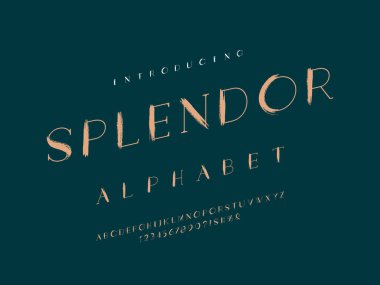 Büyük harf, sayı ve sembollerle biçimlendirilmiş fırça darbesi alfabesi dizaynının vektörü