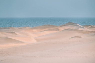 Gran Canaria, Kanarya Adaları, İspanya Maspalom kumulları manzaralı