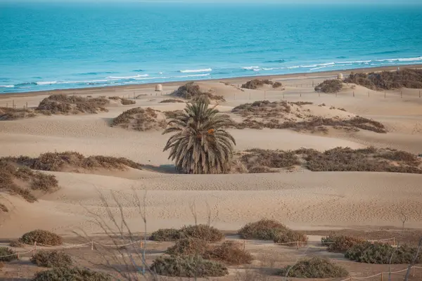 Gran Canaria, Kanarya Adaları, İspanya Maspalom kumulları manzaralı