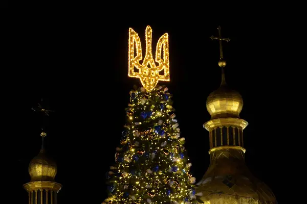 Ukrayna arması Ukrayna 'nın başkenti Kyiv' de 24 Aralık 2023 'te Sofya Meydanı' ndaki bir Noel ağacının tepesinde parlıyor.. 