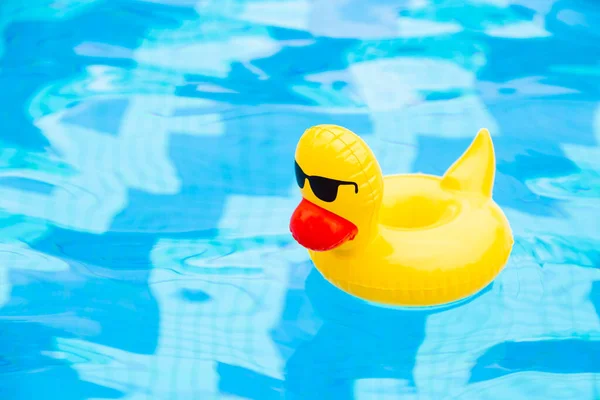 浮在游泳池里的充气太阳镜鸭 — 图库照片