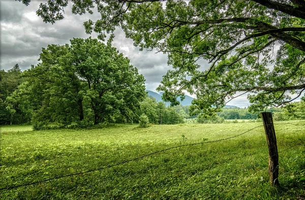 When springtime comes to the Cades Cove section of the Great Smoky Mountains National Park, a thousand shades of green make a grand appearance as far as the eye can see.  When you add in the soft light of an overcast day and the way that rain makes c