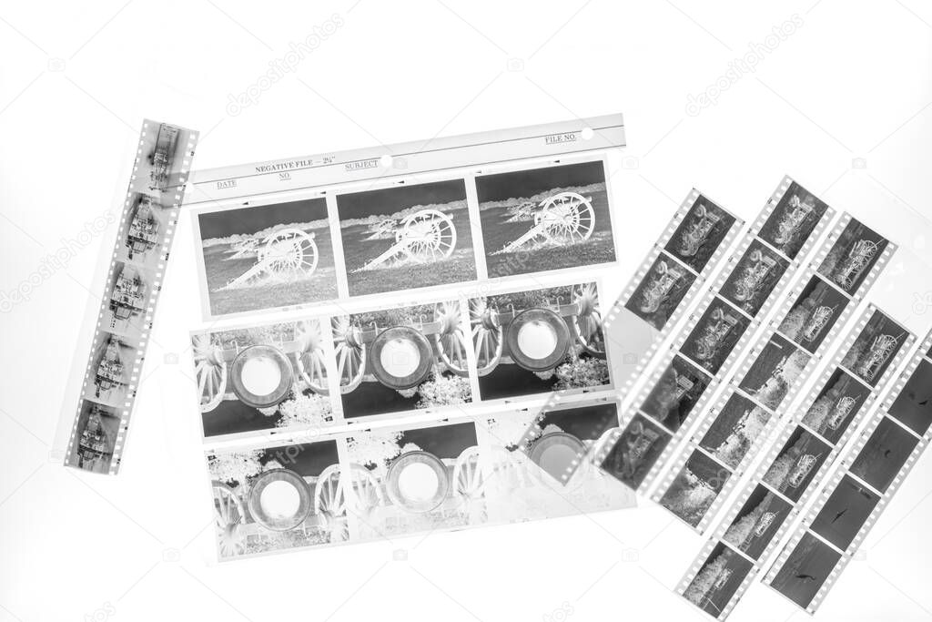 Film photography is making a big comeback, and this image shows a