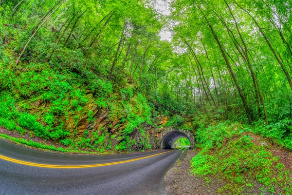 Horizontal Lente Olho Peixe Tiro Passando Por Túnel Smoky Mountains — Fotografia de Stock