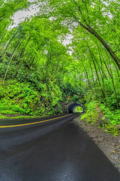 Lente Olho Peixe Vertical Tiro Passando Por Túnel Smoky Mountains — Fotografia de Stock