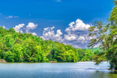Kabarık beyaz bulutlar ve mavi gökyüzü ile huzurlu bir nehir arka planının yatay görüntüsü.