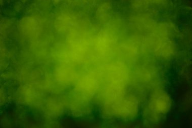 Odaklanamayan parlak yeşil arkaplanın yatay görüntüsü.