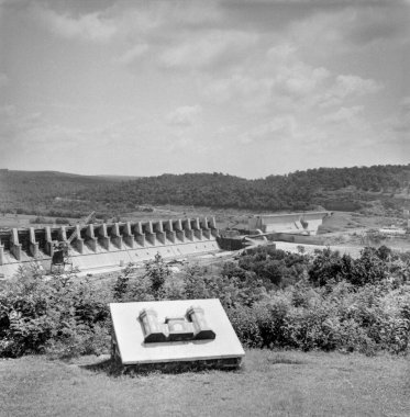 Maryville, Tennessee, ABD - 27 Haziran 2024: Beyaz arka planda beş sıra halinde 10 farklı telefonun yatay yakın plan çekimi. Boşluğu kopyala.