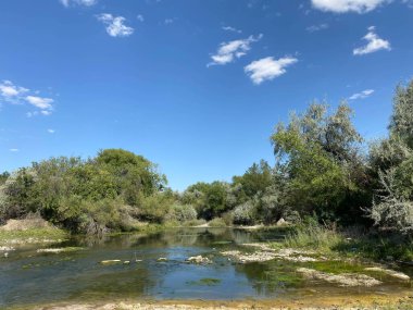 Yazın doğa yeşil çimenler ve nehir kenarındaki ağaçlar tasarım içindir.