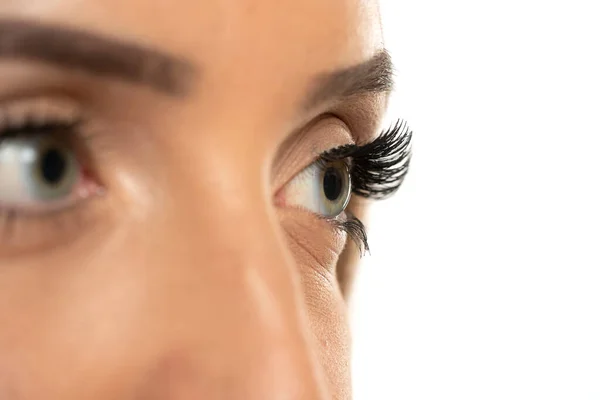 Beauty female eye with curl long false eyelashes on a white studio background