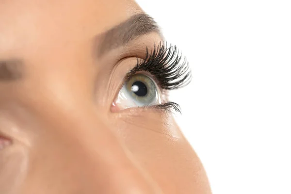Beauty female eye with curl long false eyelashes on a white studio background