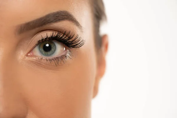 Beauty Female Eye Curl Long False Eyelashes White Studio Background — Stock Photo, Image