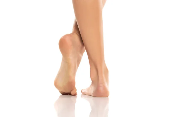 白いスタジオの背景に美しく手入れされた女性の裸の足のバックビュー — ストック写真