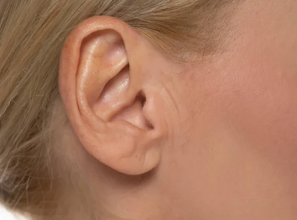 Słuch Część Ciała Koncepcja Wieku Średniego Zbliżenie Ucha Starszej Kobiety — Zdjęcie stockowe