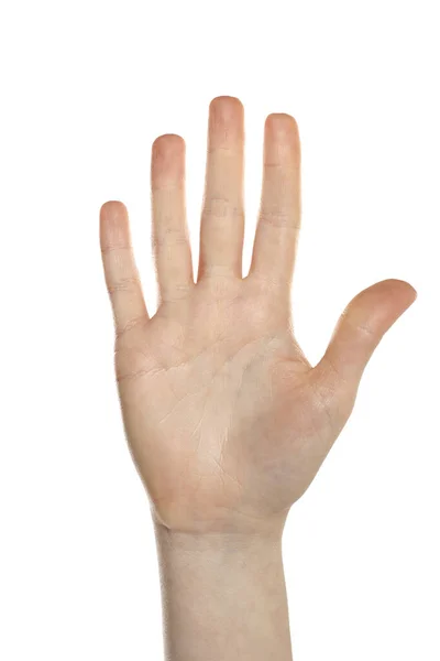 Weibliche Offene Handfläche Isoliert Auf Weißem Studiohintergrund — Stockfoto