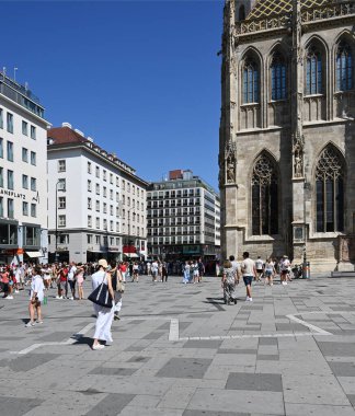 Viyana, Avusturya - 24 Ağustos 2024: St.Stephen 's Katedrali Stephansplatz Meydanı Viyana, Avusturya