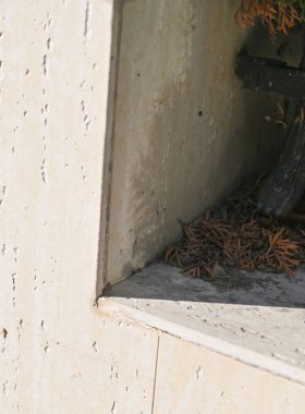Parlak güneş ışığı, toz ve küçük enkazın biriktiği yıpranmış bir duvarın köşesine vurgu yapıyor. Yüzeyin dokusu yaşlanmanın belirtilerini gösteriyor, karakter ekliyor